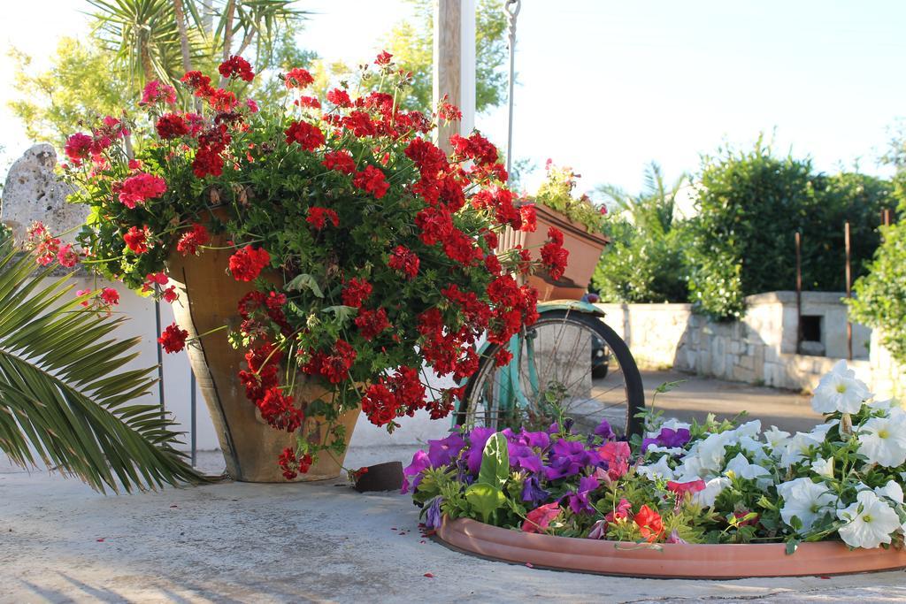 La Casa Del Nonno Acomodação com café da manhã Alberobello Exterior foto